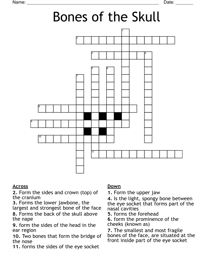 Bones of the Skull Crossword