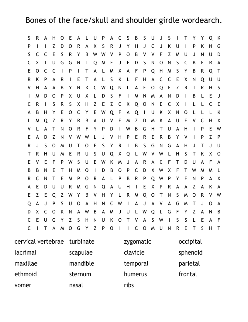 Bones of the face/skull and shoulder girdle wordearch. Word Search