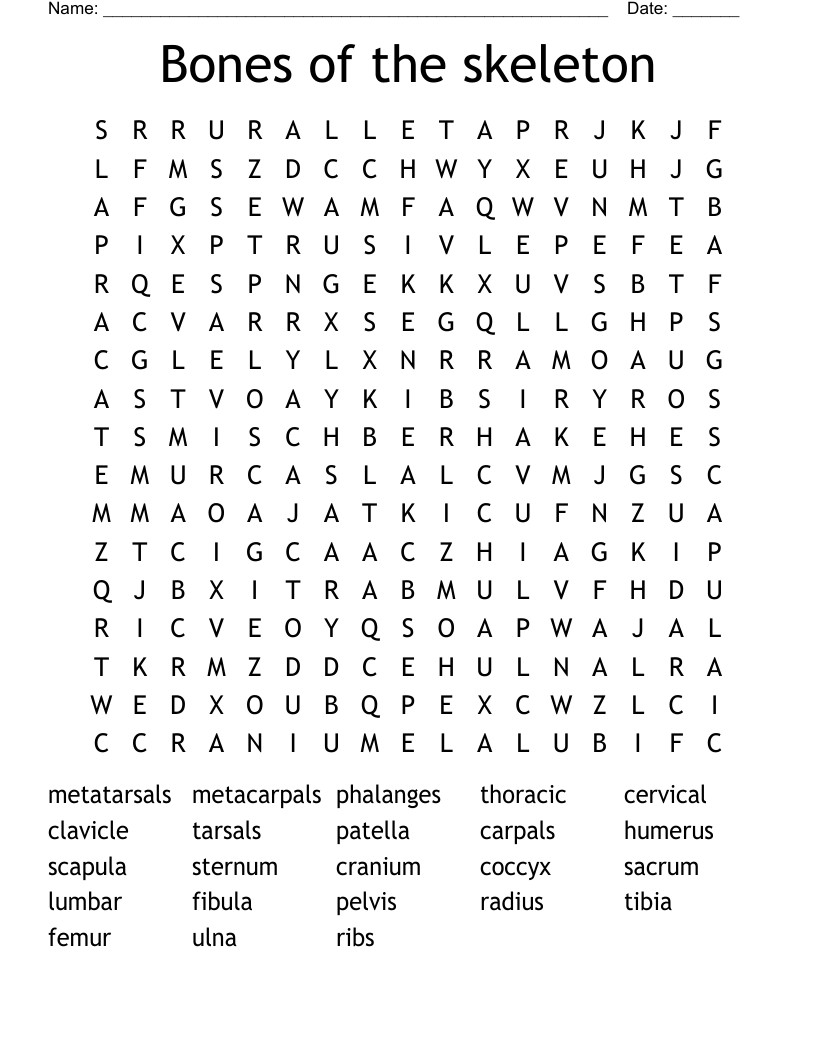 Bones of the skeleton Word Search