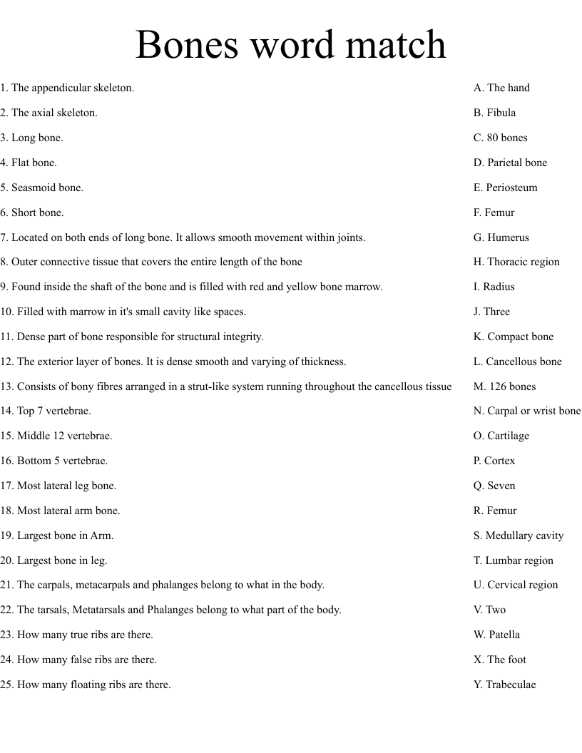 Bones word match Worksheet