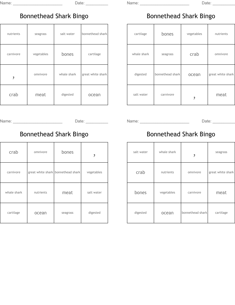 Bonnethead Shark Bingo