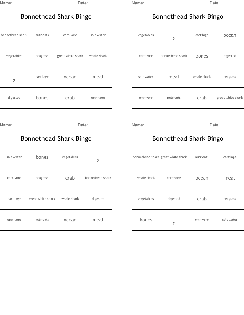 Bonnethead Shark Bingo