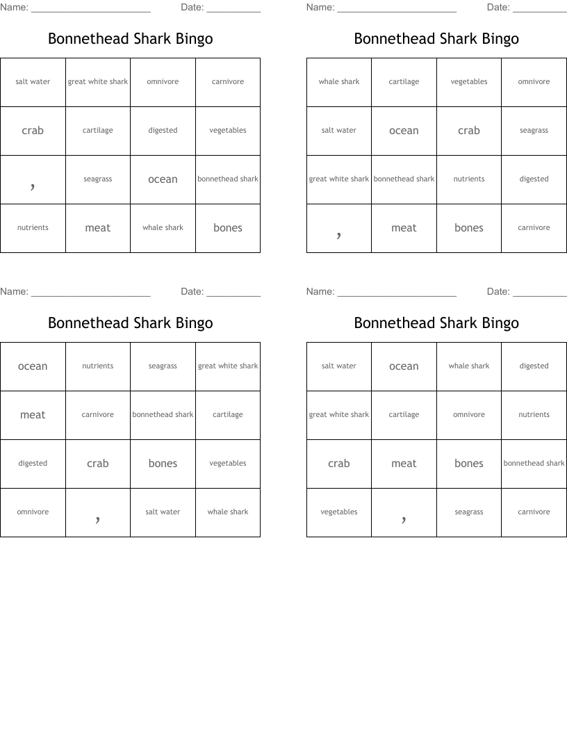 Bonnethead Shark Bingo