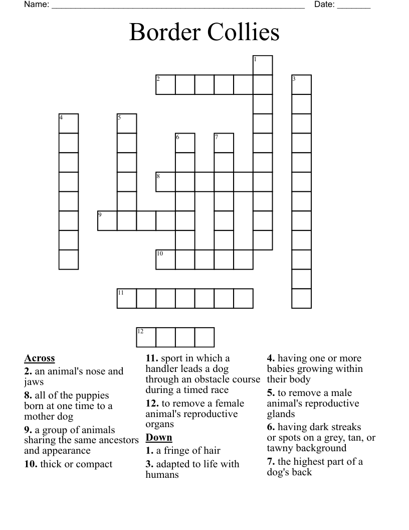 Border Collies Crossword