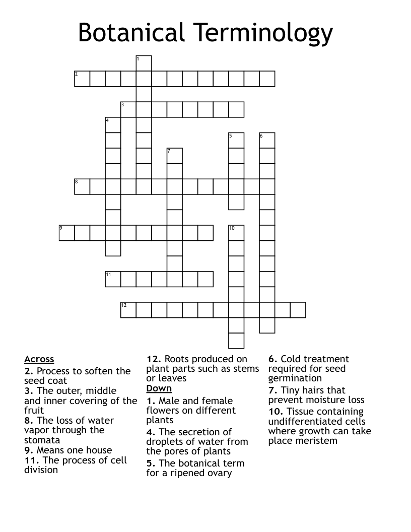Botanical Terminology Crossword