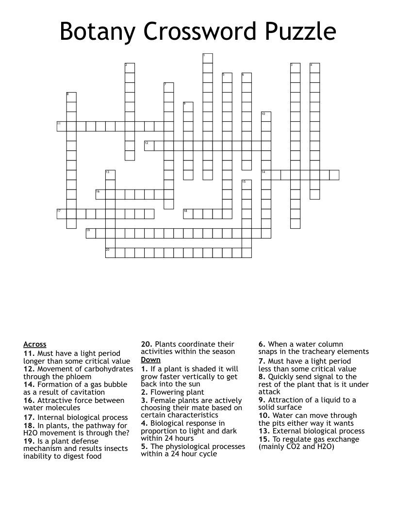 Botany Crossword Puzzle