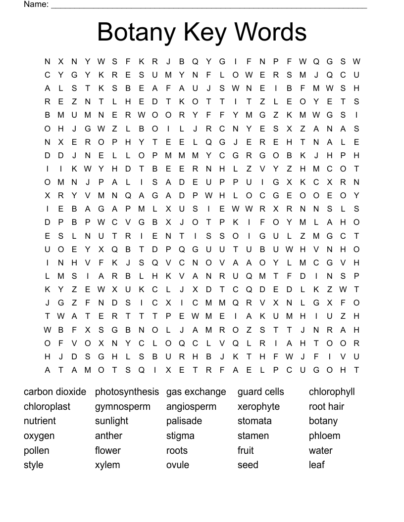 Botany Key Words Word Search