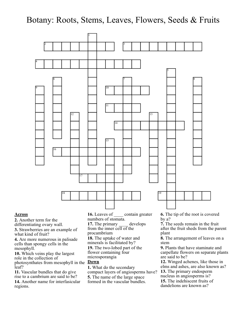Botany: Roots, Stems, Leaves, Flowers, Seeds & Fruits  Crossword