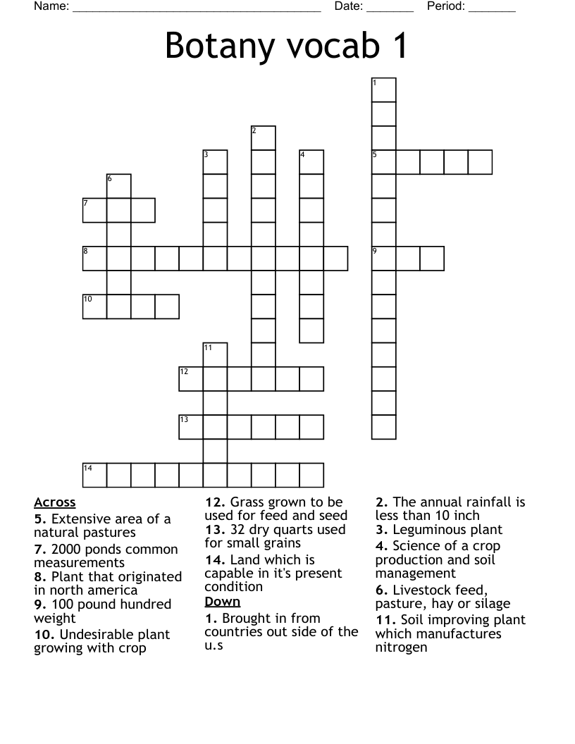 Botany vocab 1  Crossword
