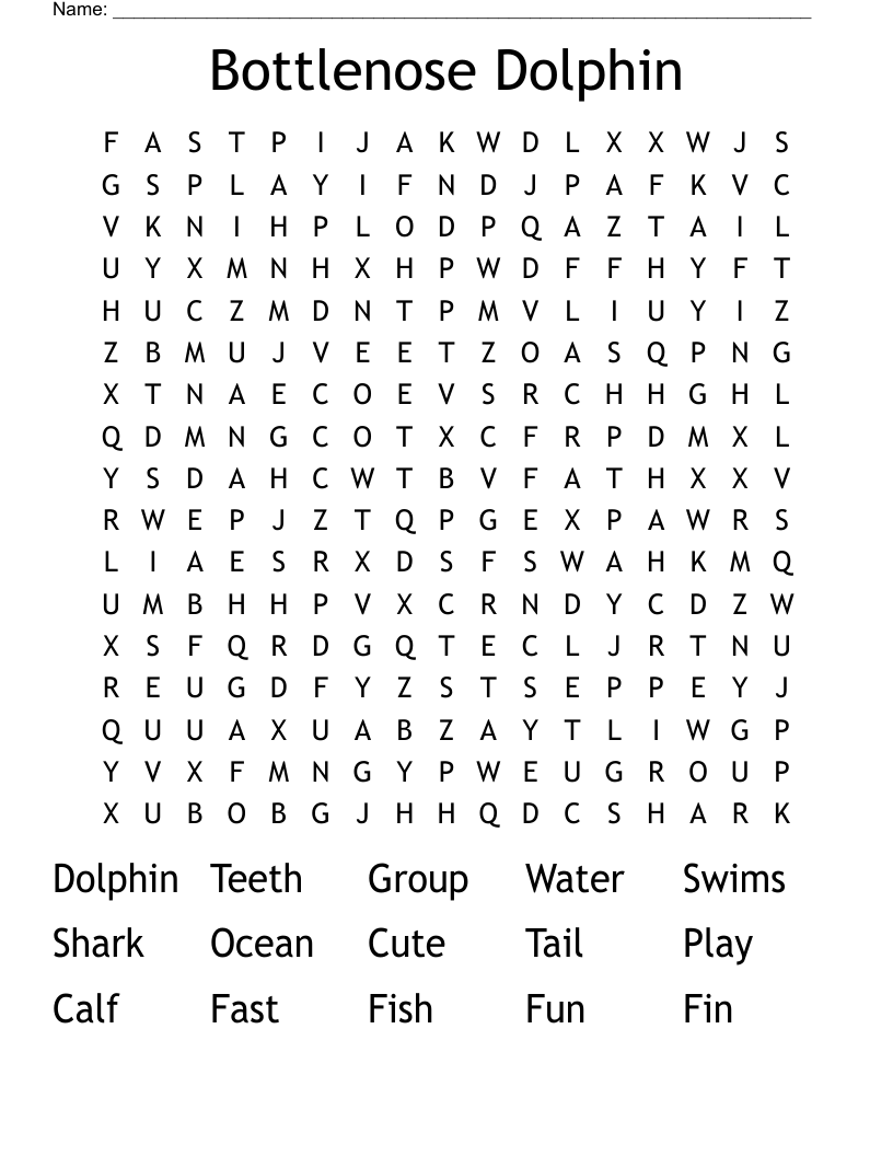 Bottlenose Dolphin Word Search