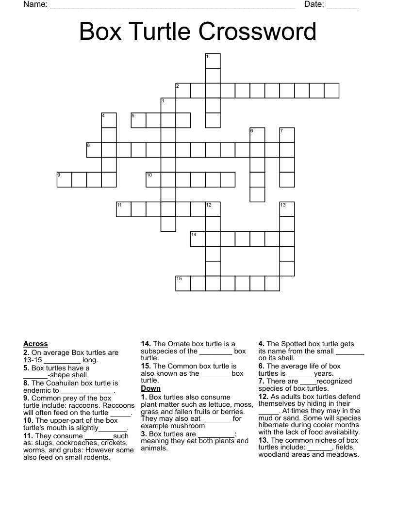 Box Turtle Crossword