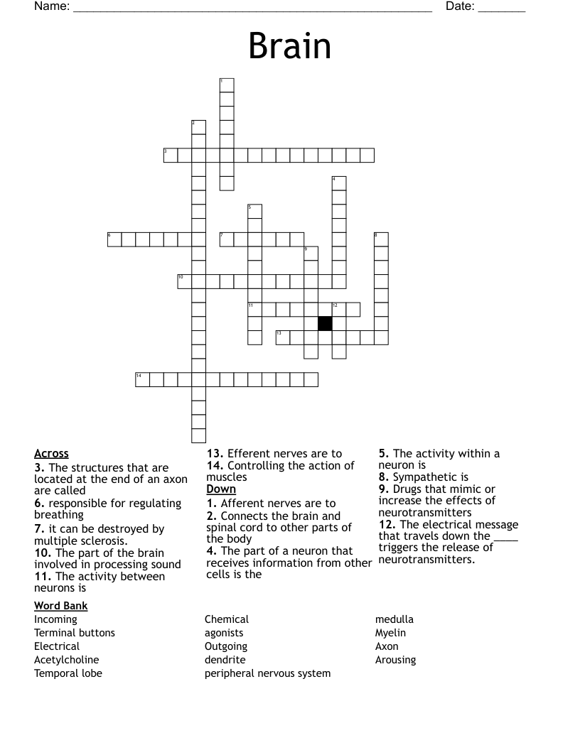 Brain Crossword