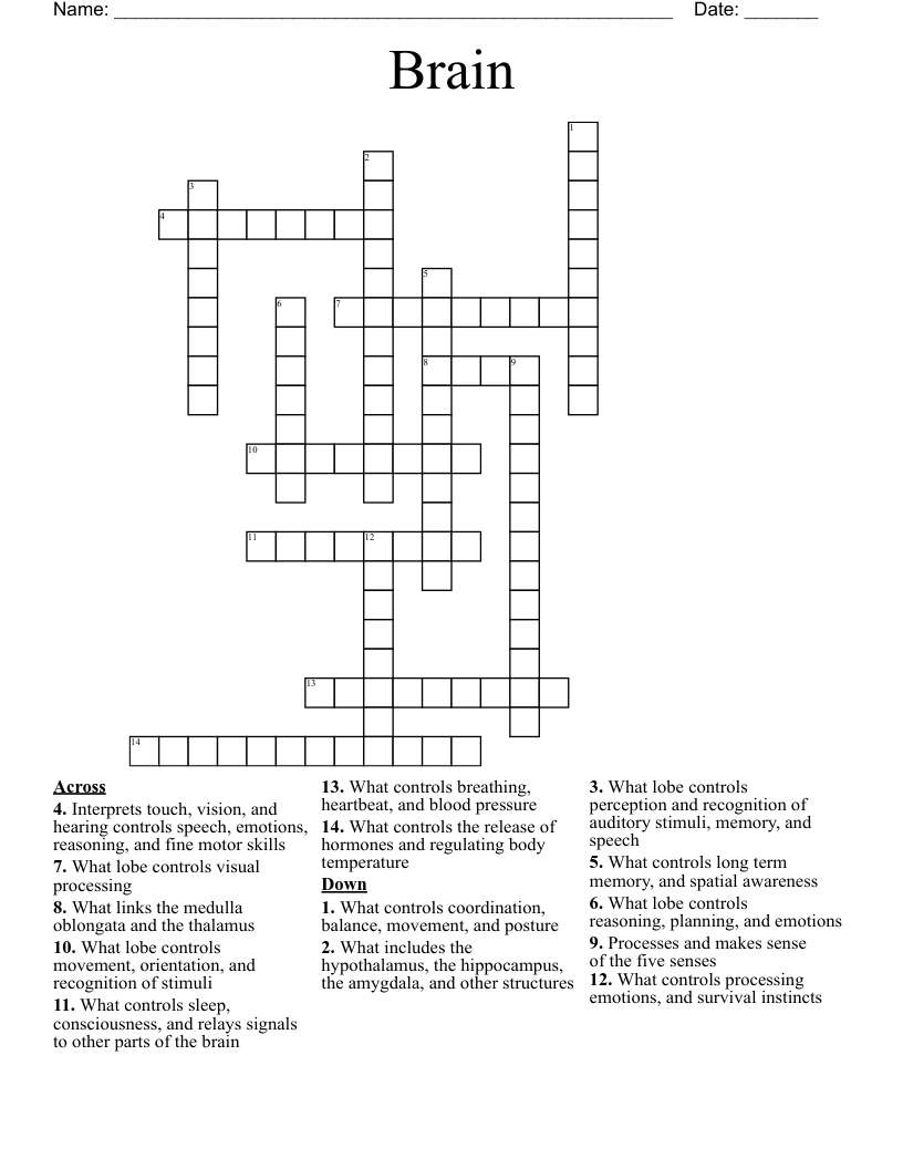 Brain Crossword
