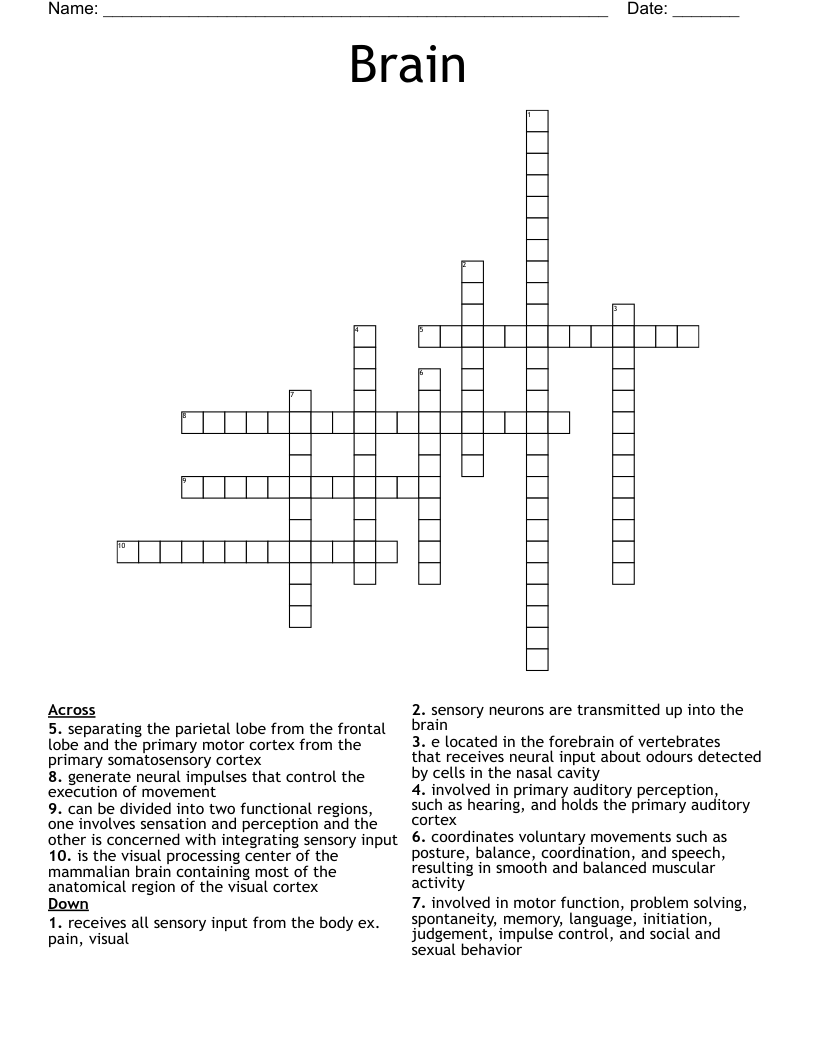 Brain Crossword