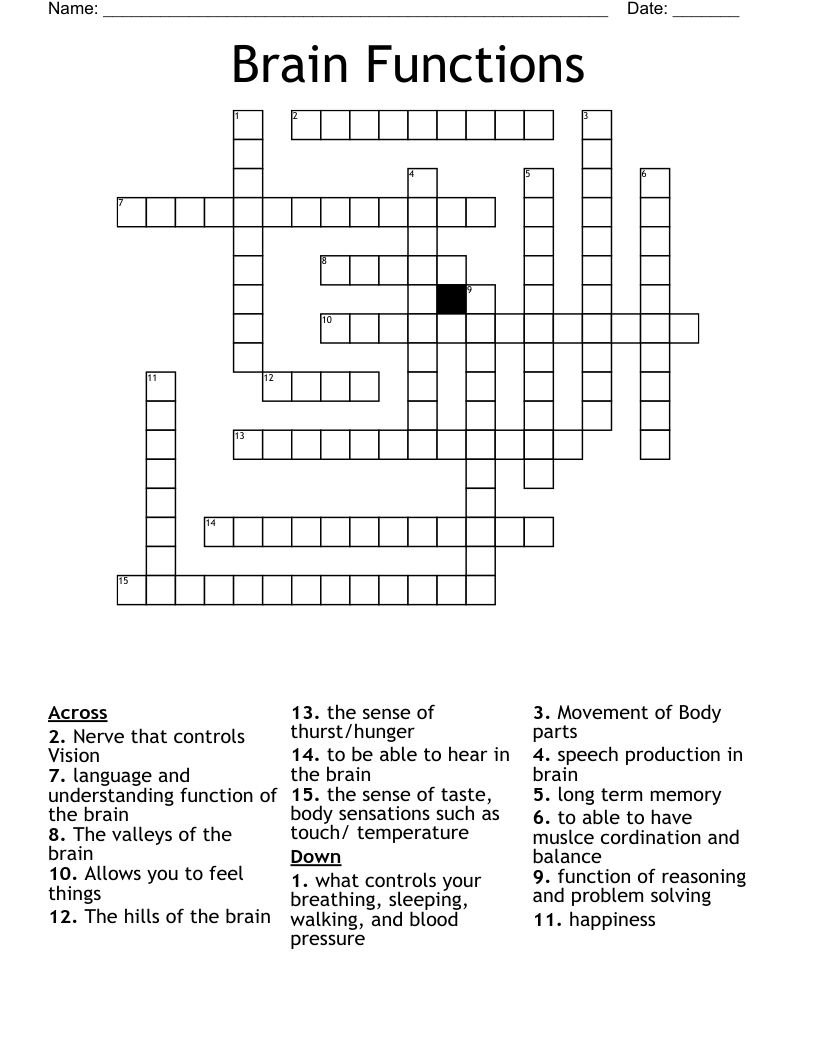 Brain Functions Crossword