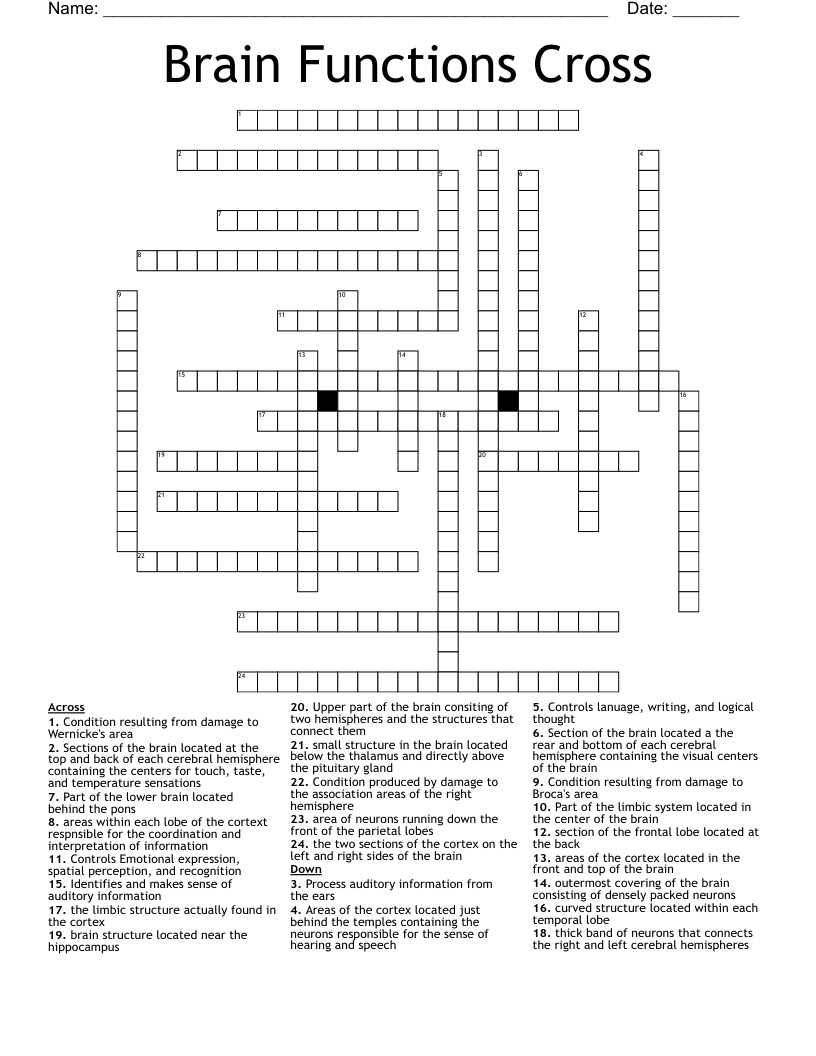 Brain Functions Cross Crossword