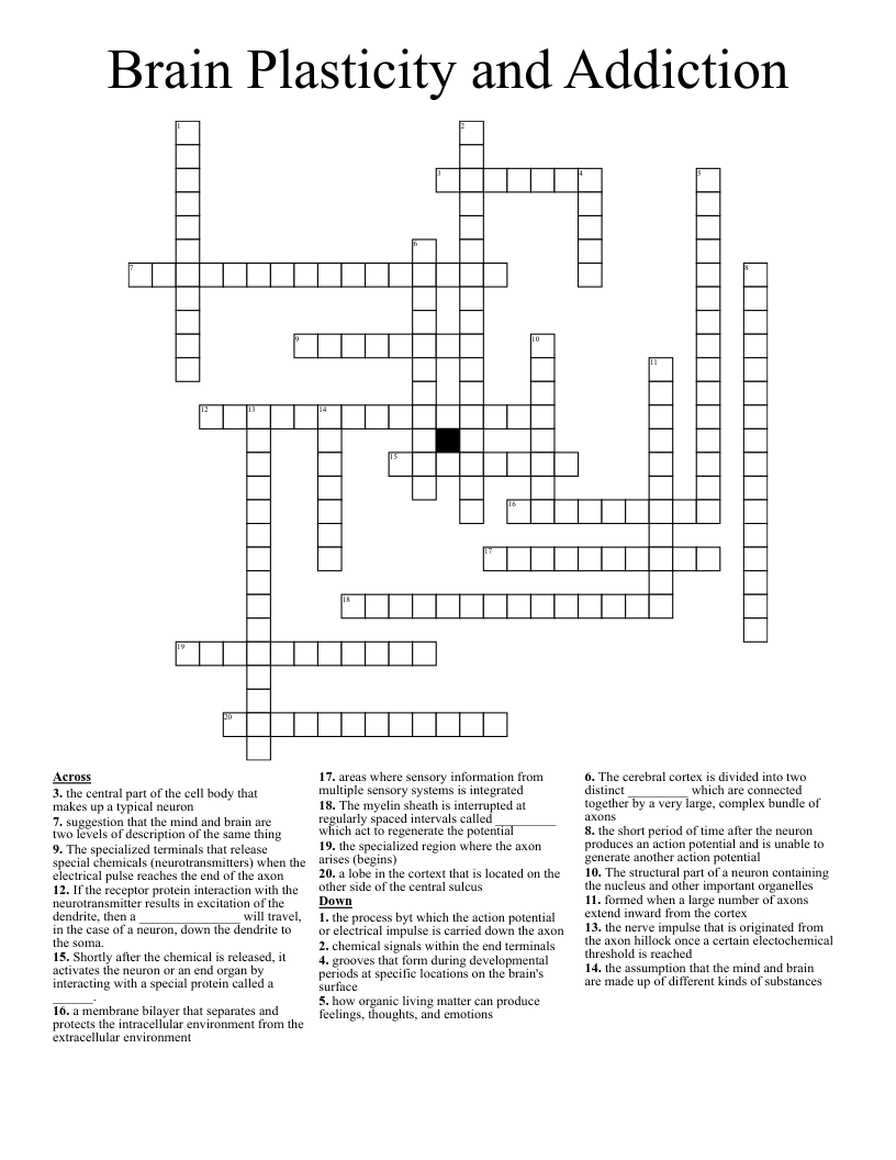 Brain Plasticity and Addiction Crossword