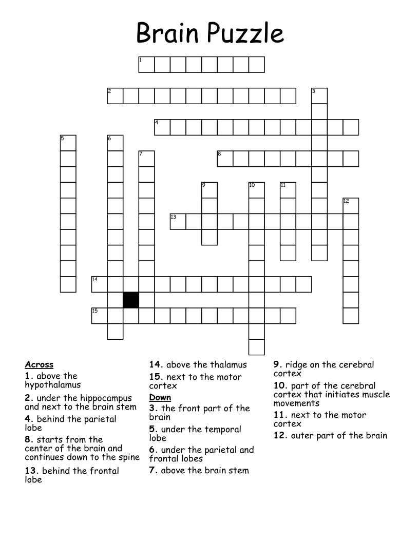 Brain Puzzle Crossword