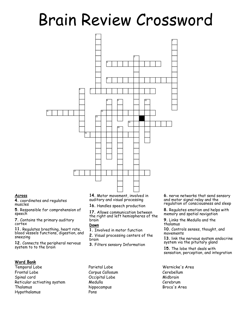 Brain Review Crossword