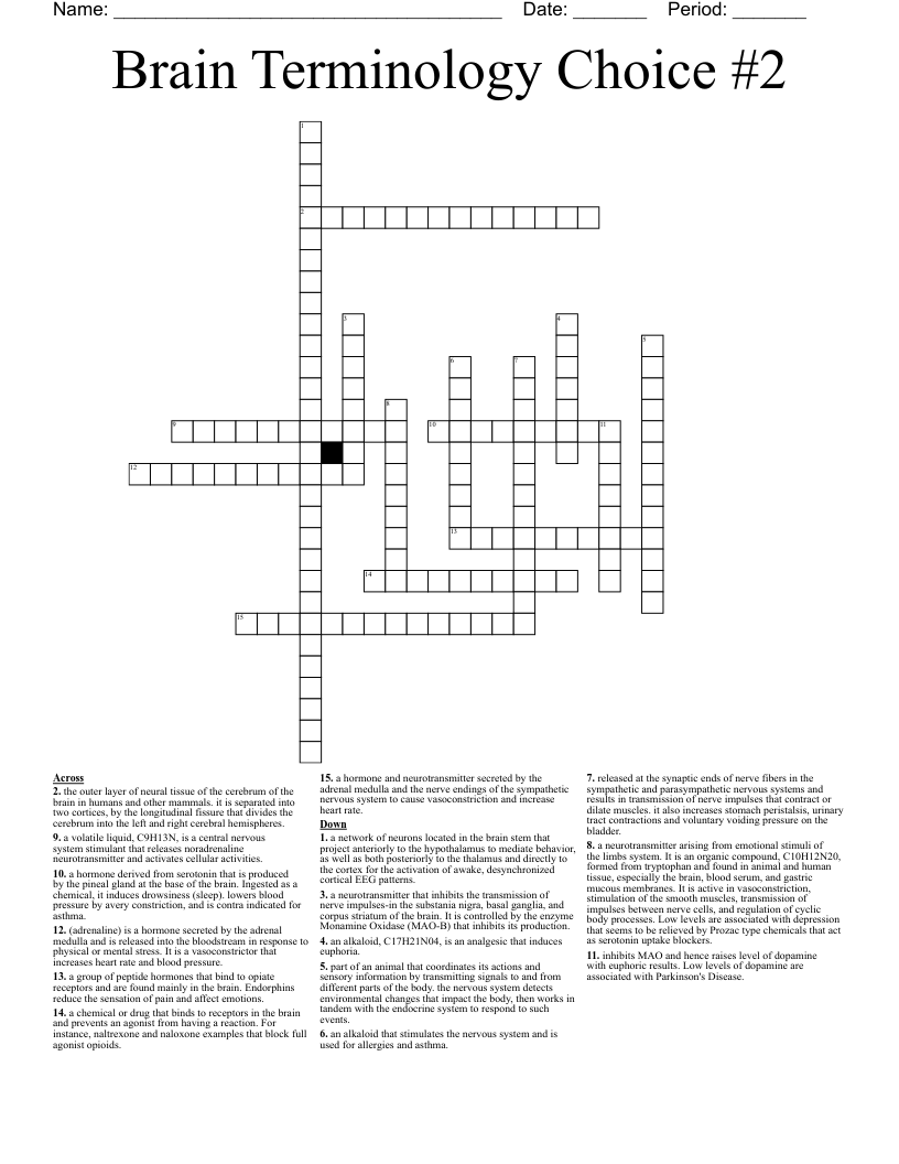 Brain Terminology Choice #2 Crossword