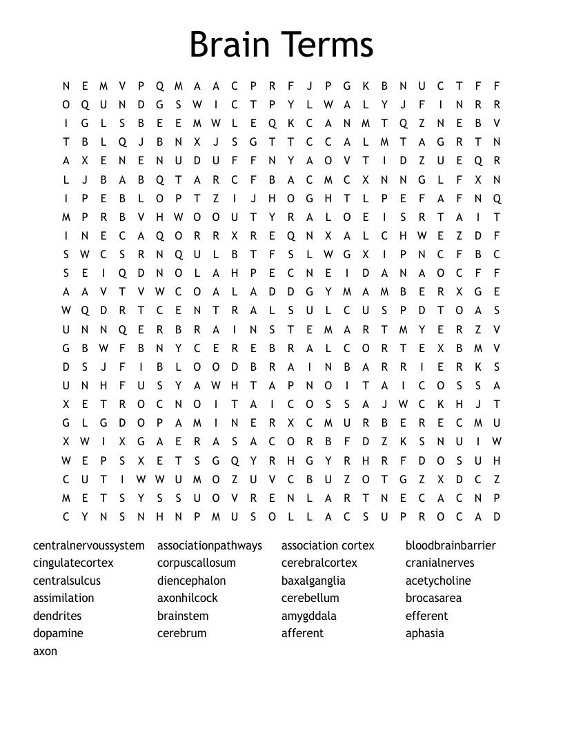 Brain Terms Word Search