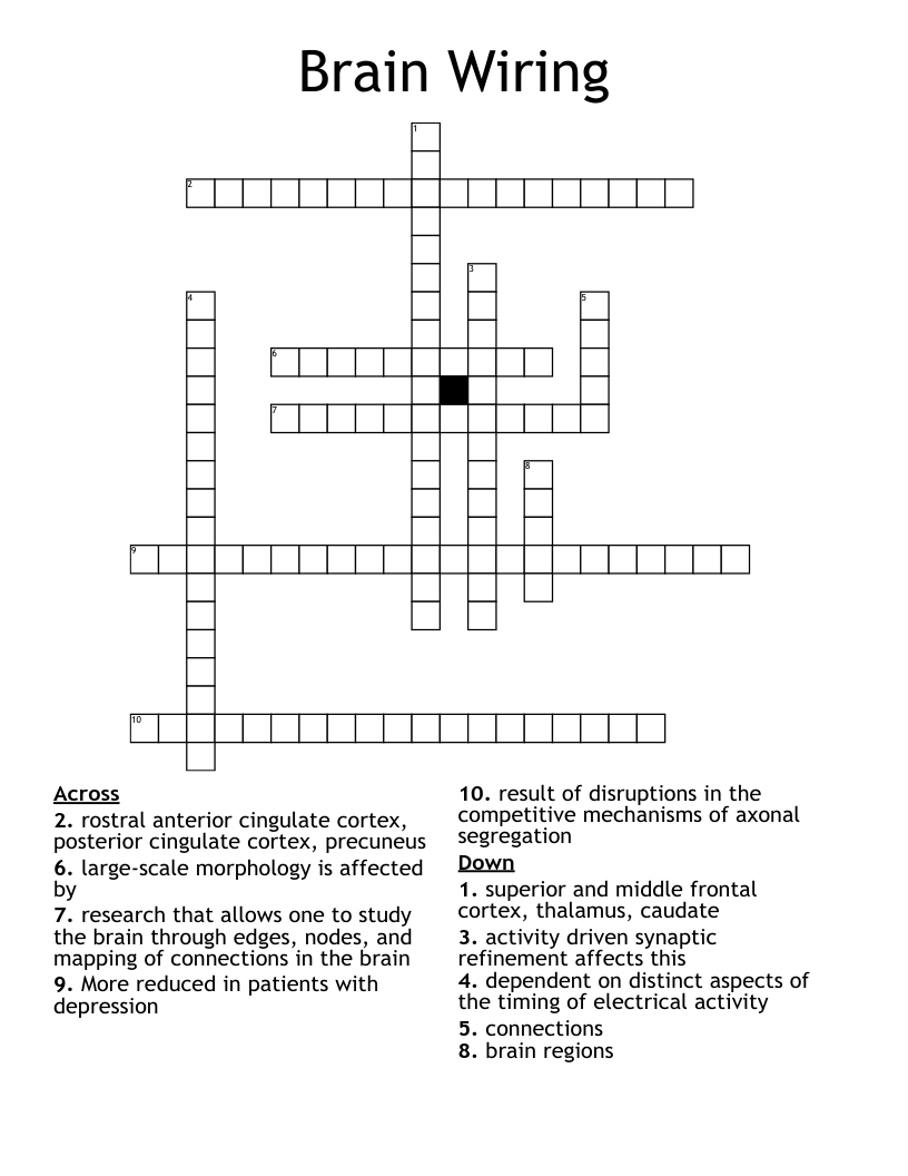 Brain Wiring Crossword