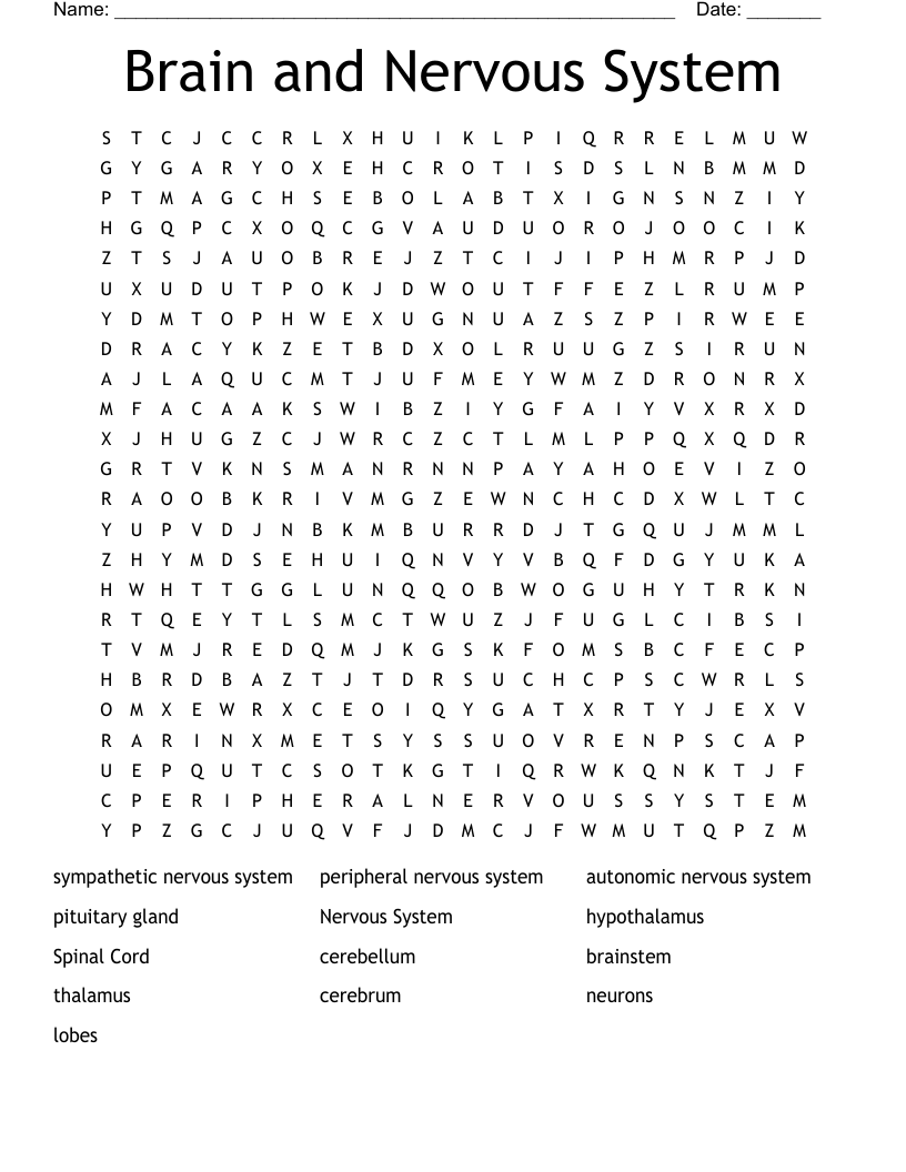 Brain and Nervous System Word Search