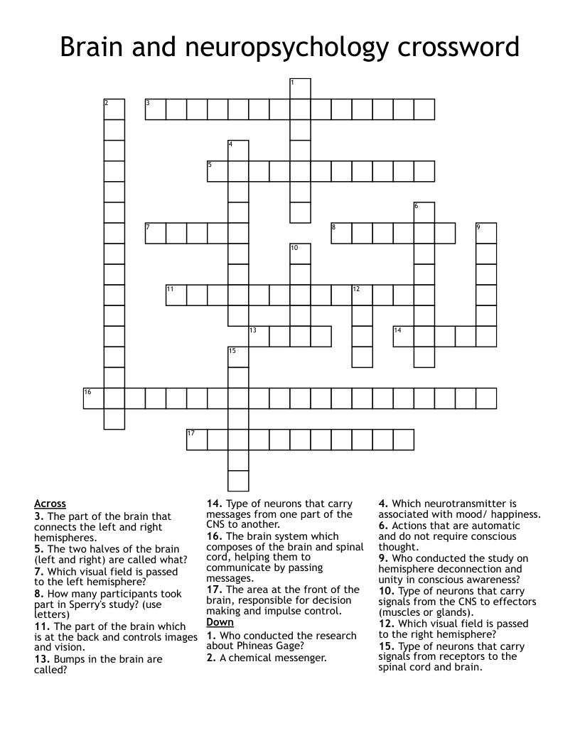 Brain and neuropsychology crossword