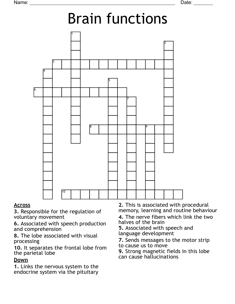 Brain functions Crossword