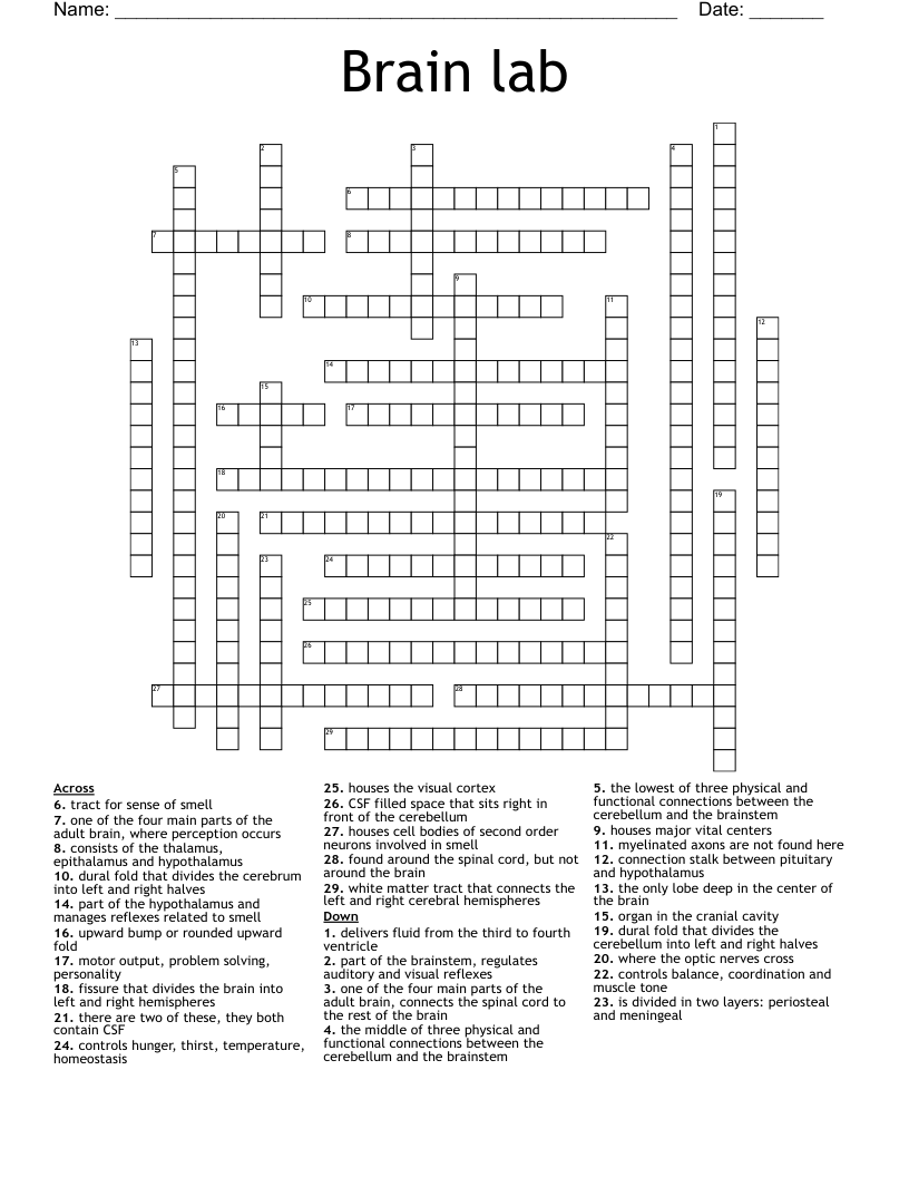 Brain lab Crossword
