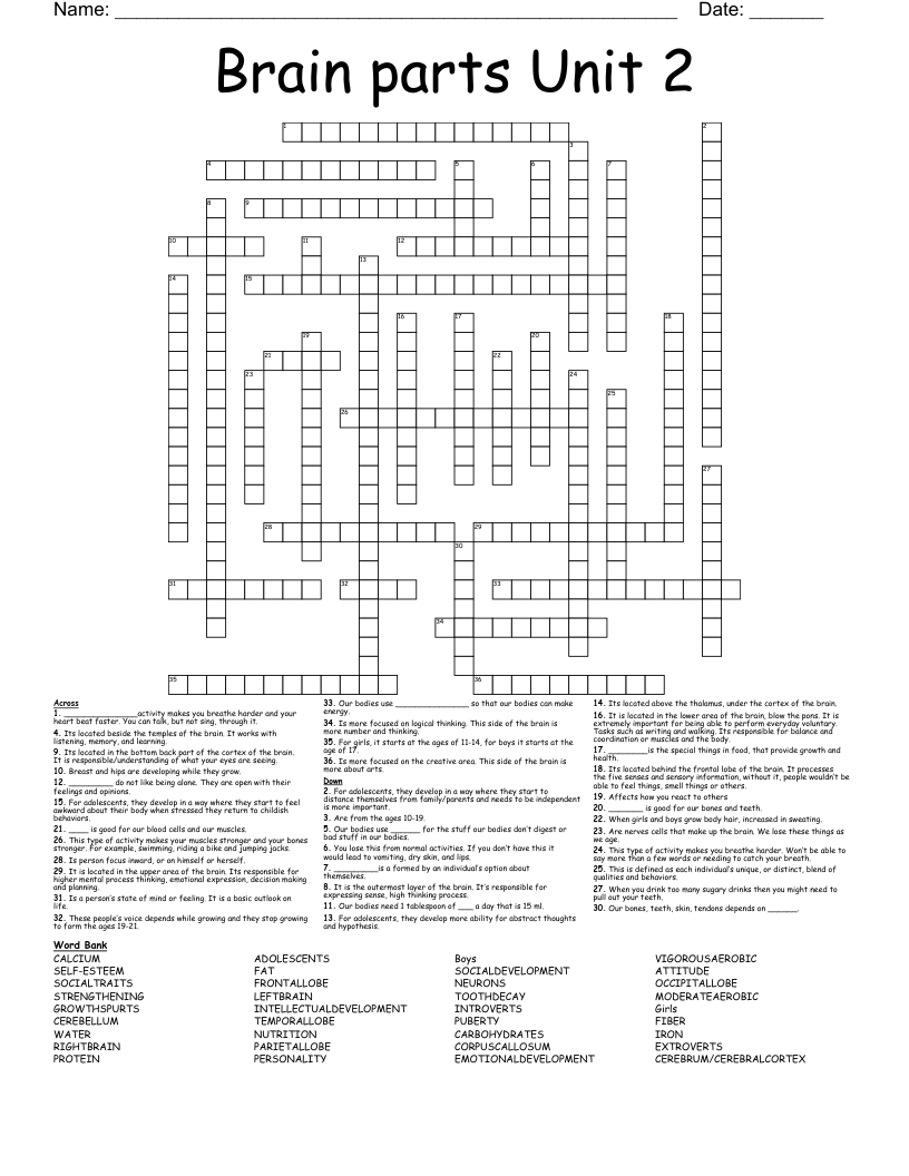 Brain parts Unit 2  Crossword