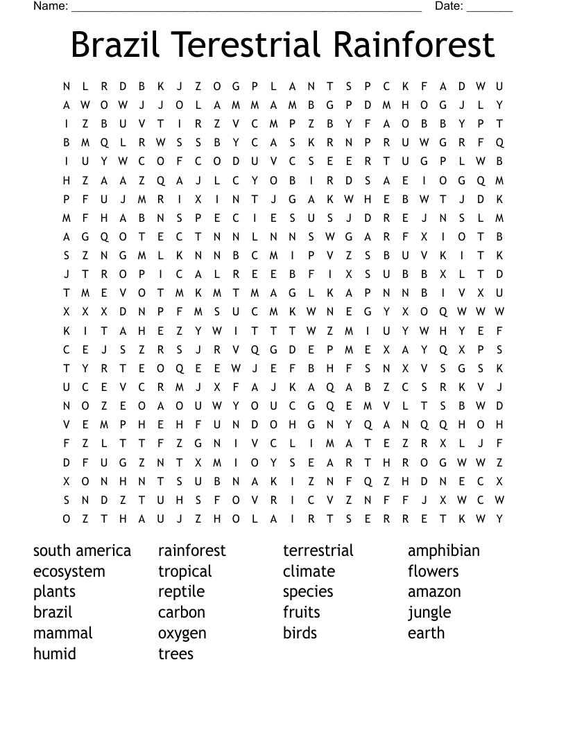 Brazil Terestrial Rainforest Word Search