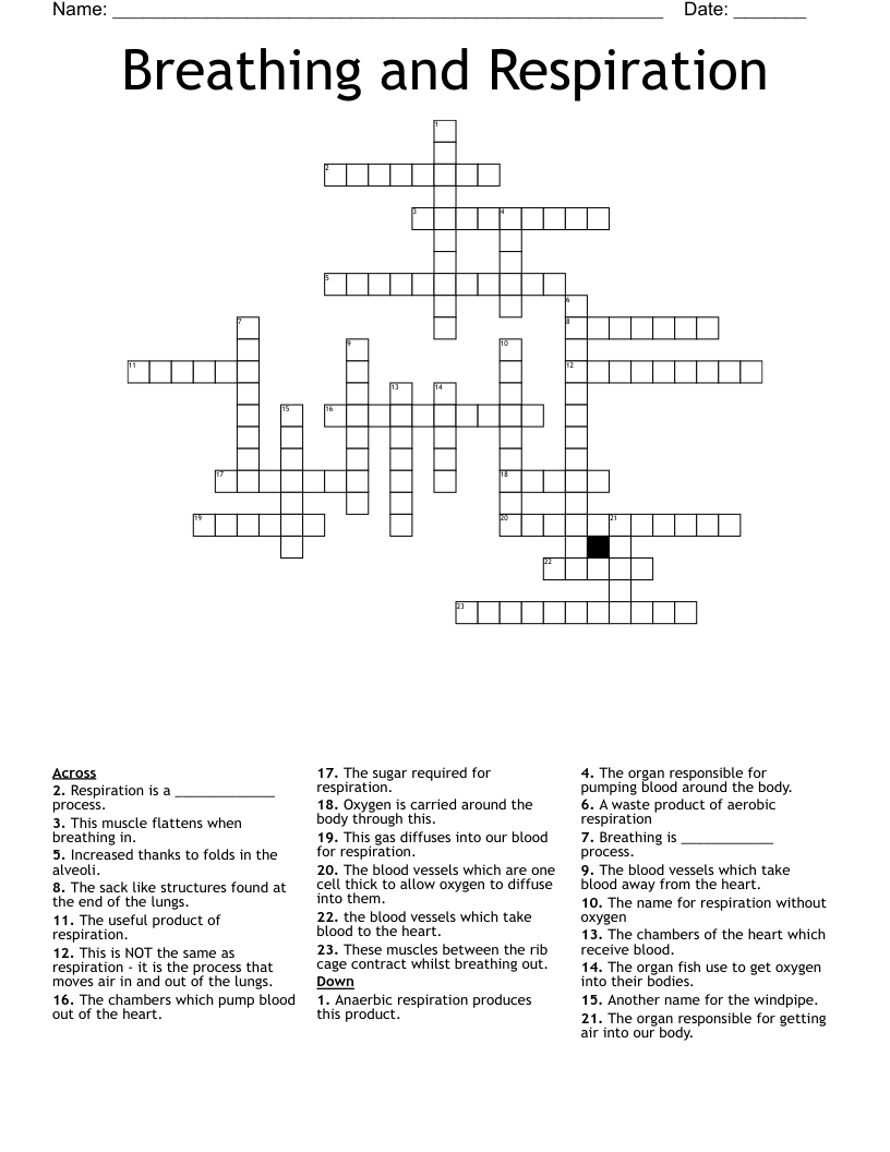 Breathing and Respiration Crossword