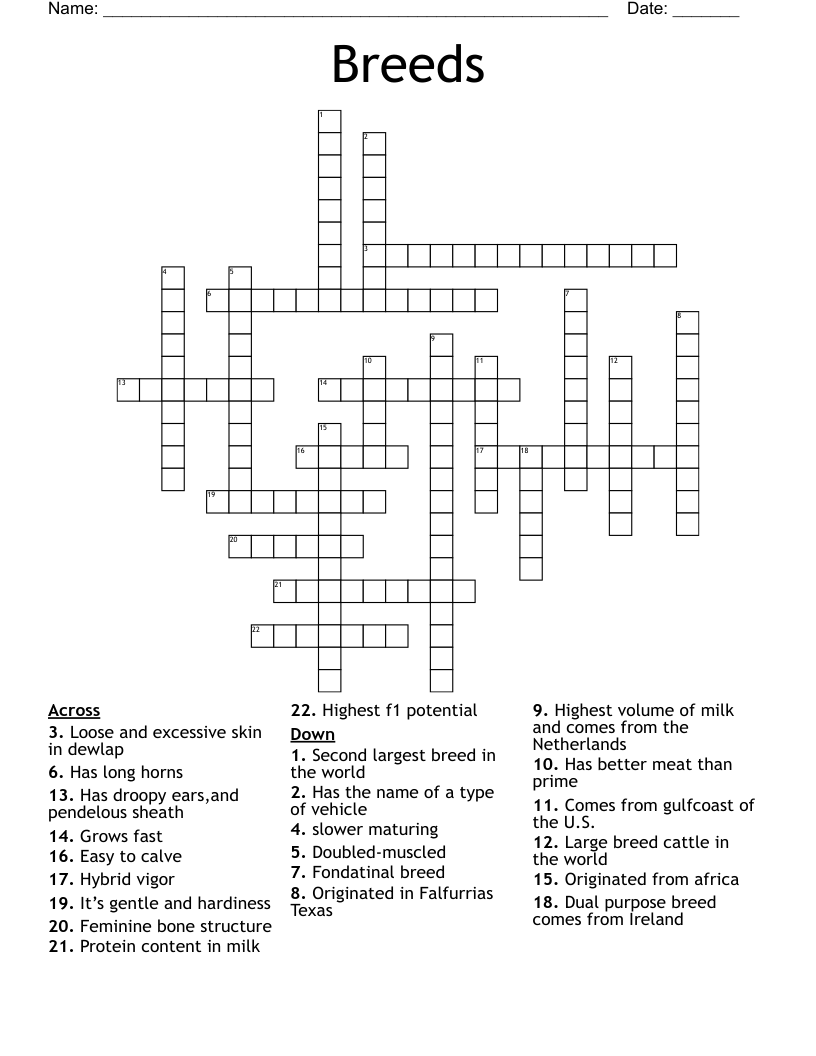 Breeds Crossword