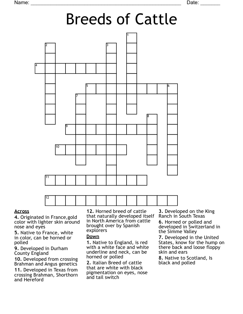 Breeds of Cattle Crossword