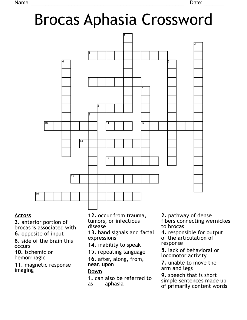 Brocas Aphasia Crossword 