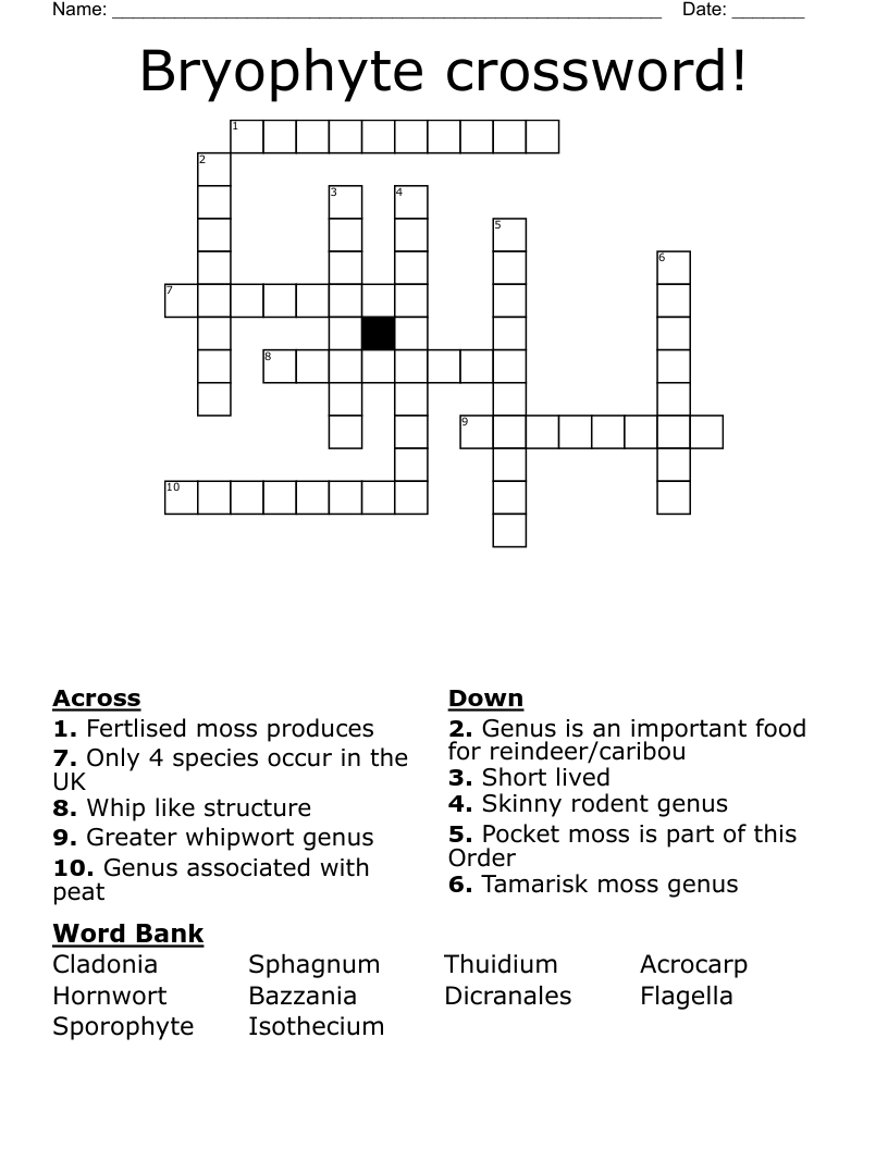 Bryophyte crossword!