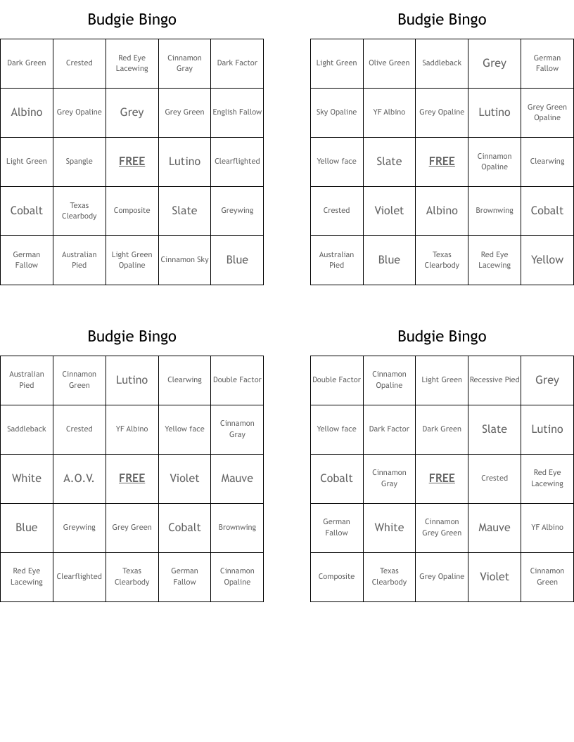 Budgie Bingo