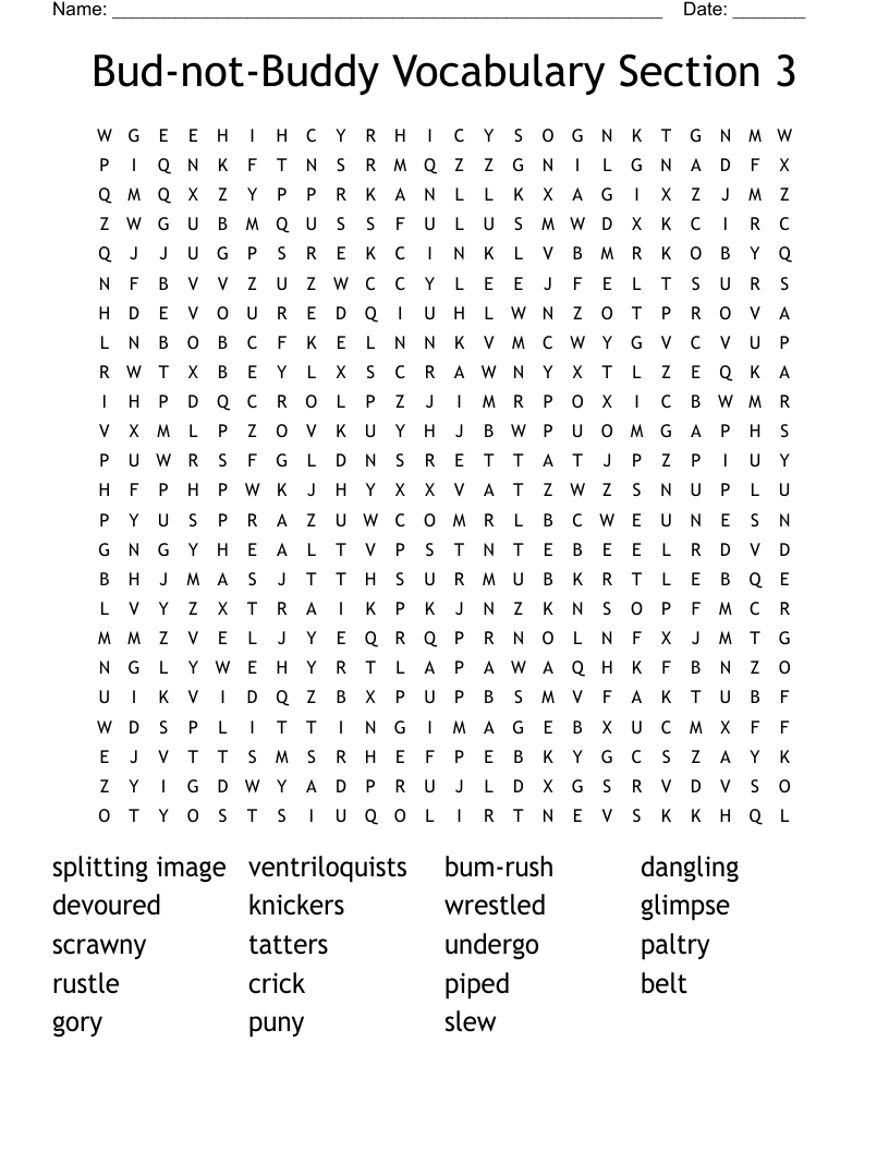 Bud-not-Buddy Vocabulary Section 3 Word Search