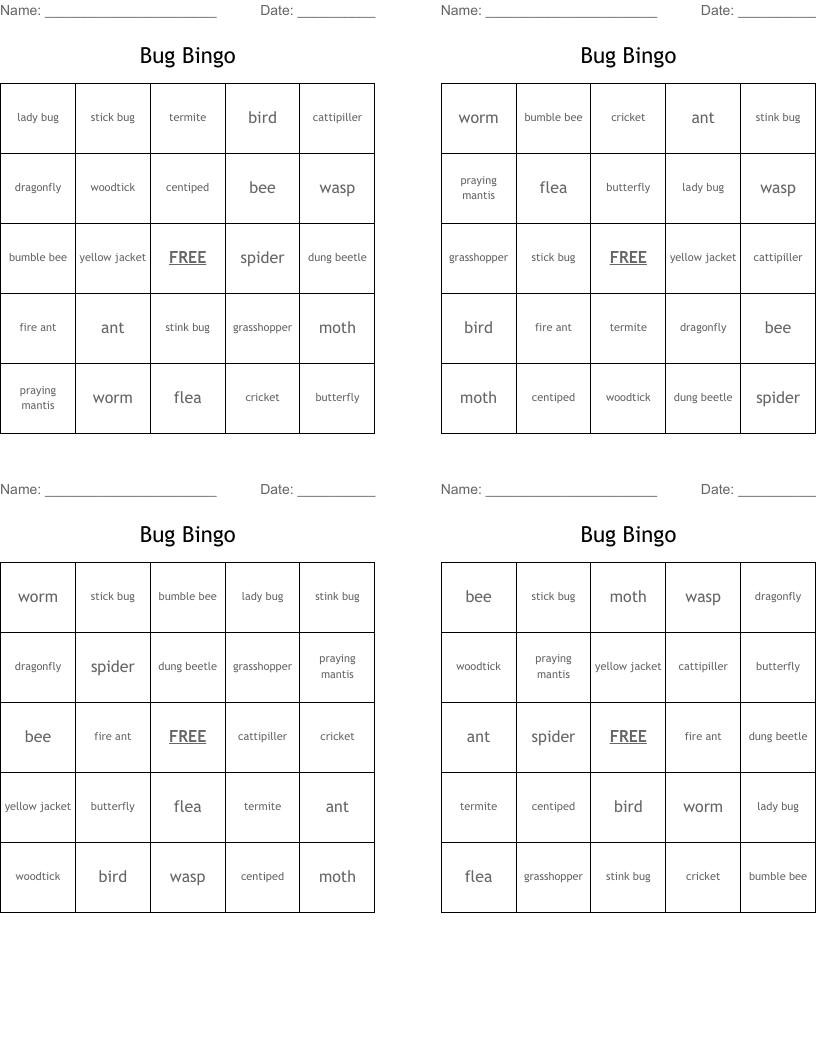 Bug Bingo
