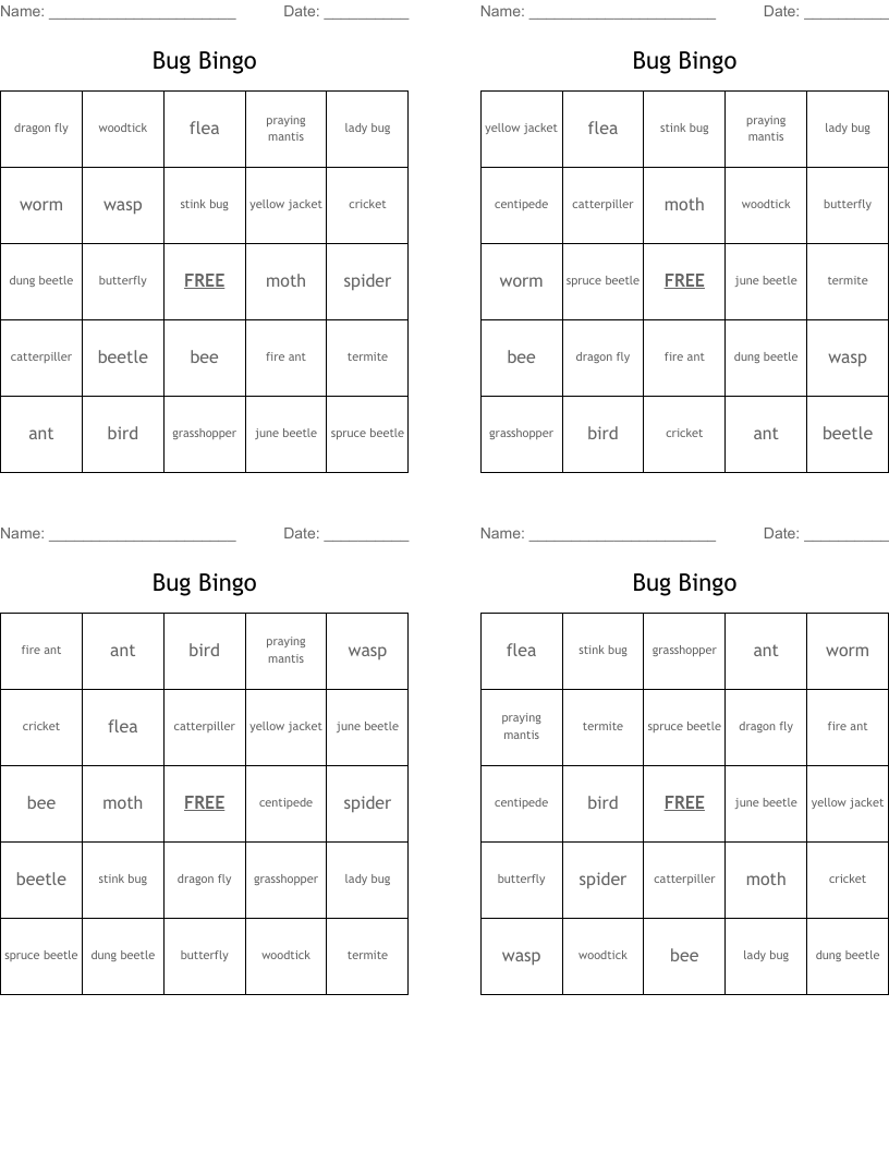 Bug Bingo