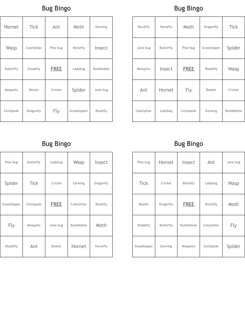 Bug Bingo
