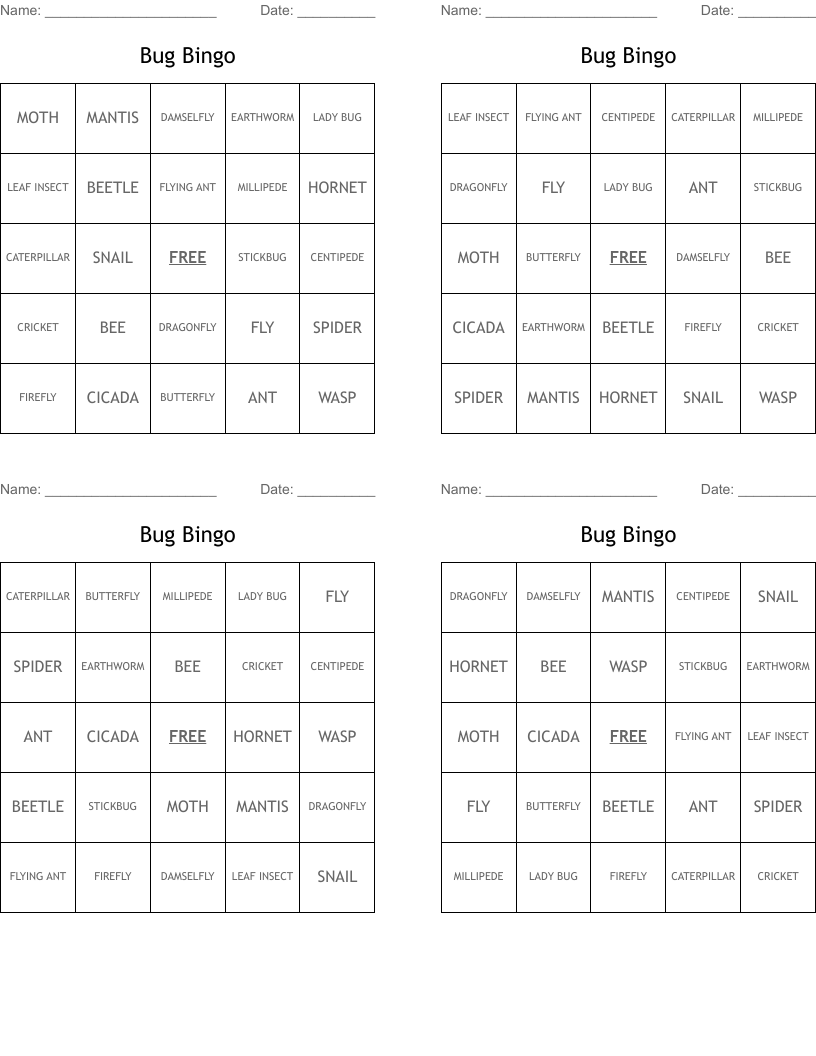 Bug Bingo