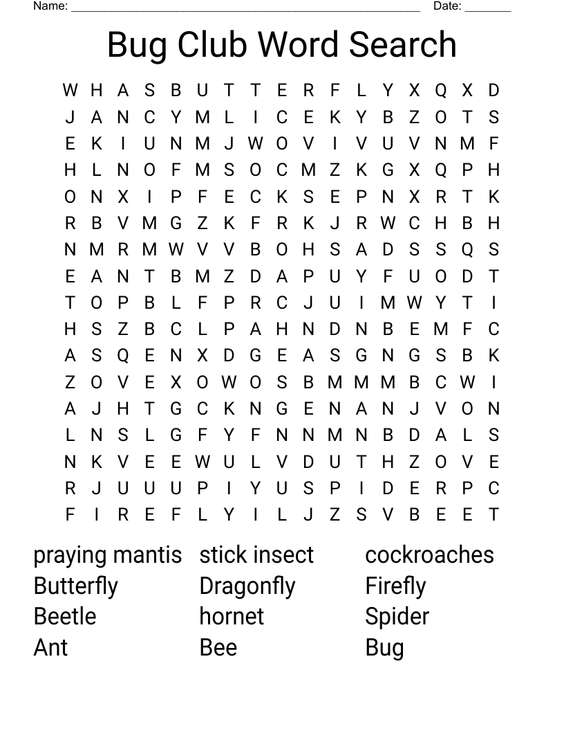 Bug Club Word Search