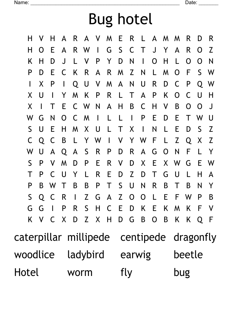 Bug hotel Word Search