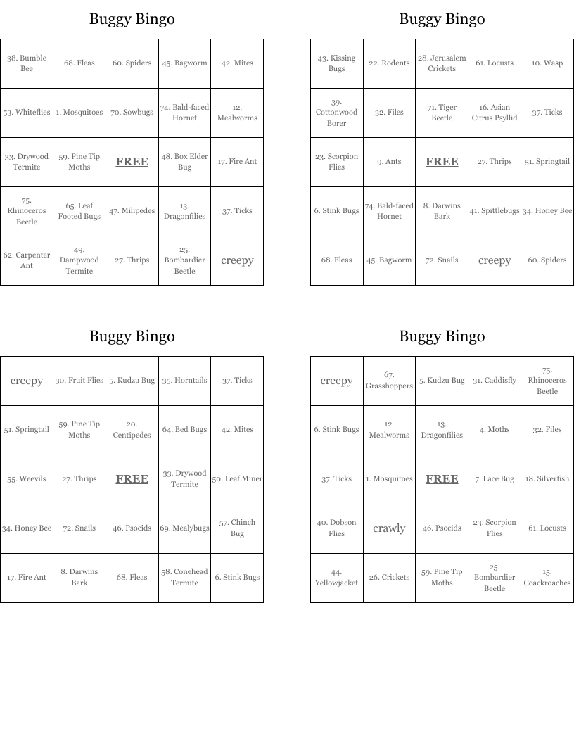 Buggy Bingo