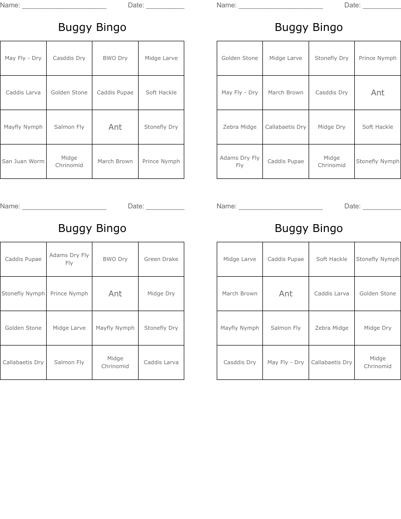 Buggy  Bingo
