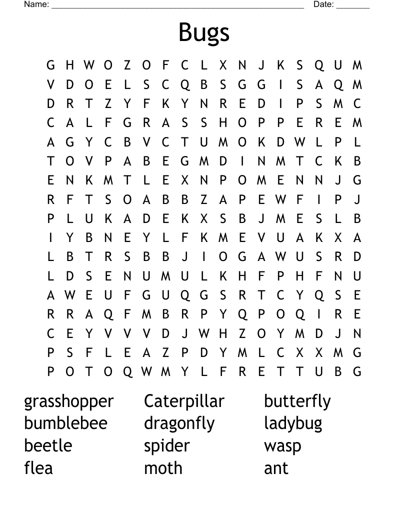 Bugs Word Search