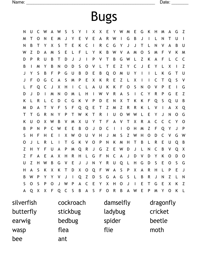 Bugs Word Search