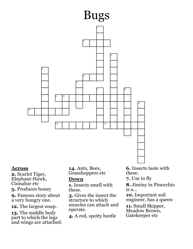 Bugs Crossword